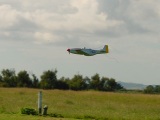 p51_fly.jpg